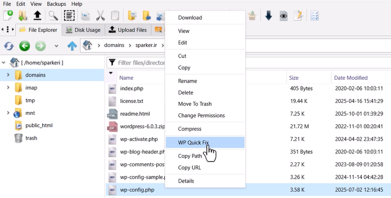 پسورد وردپرس
